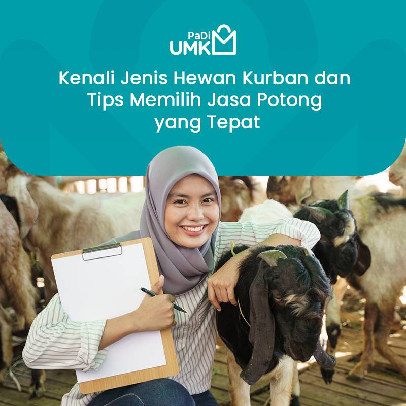 kenali-jenis-hewan-kurban-dan-tips-memilih-jasa-potong-yang-tepat