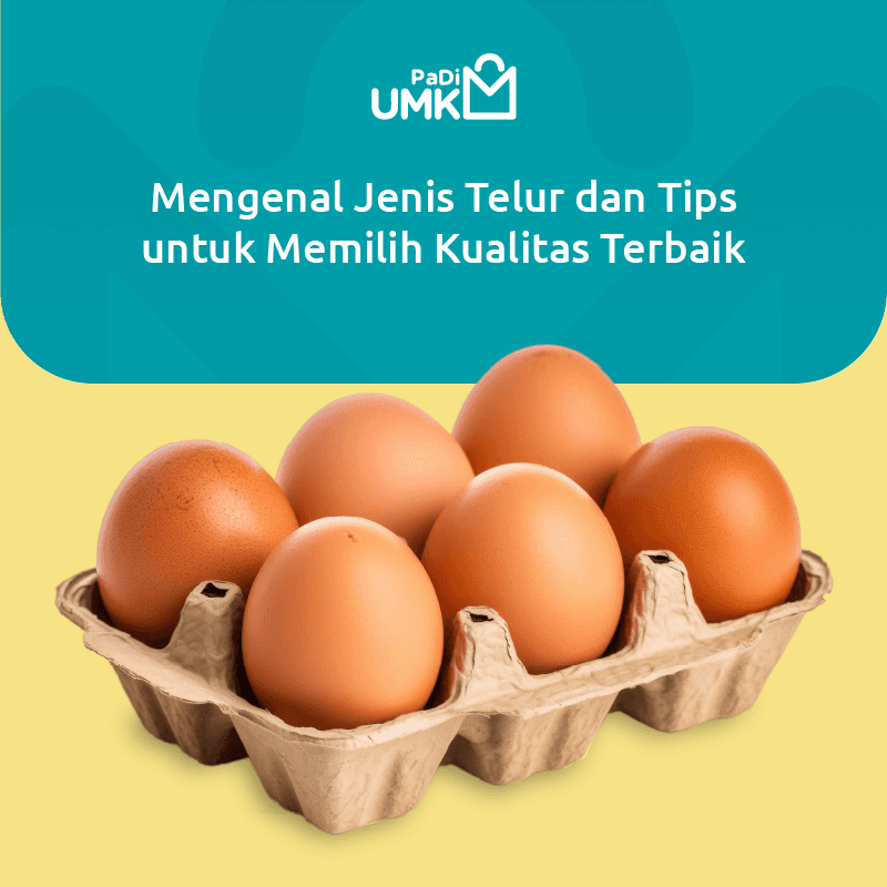 mengenal-jenis-telur-dan-tips-untuk-memilih-kualitas-terbaik