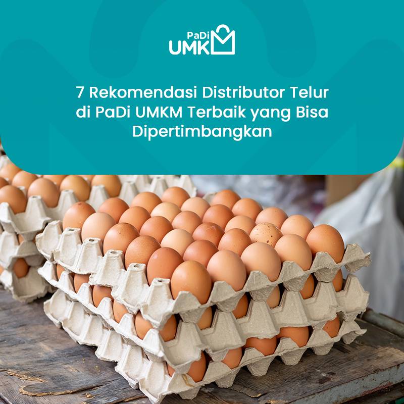 7-rekomendasi-distributor-telur-di-padi-umkm-terbaik-yang-bisa-dipertimbangkan