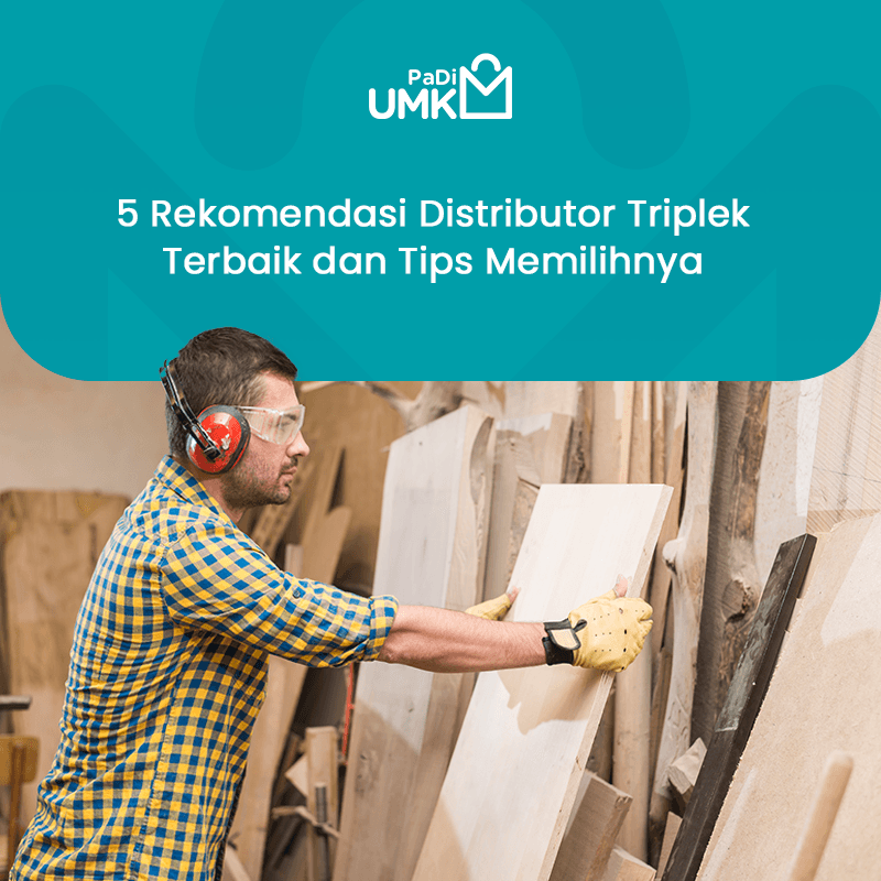 5-rekomendasi-distributor-triplek-terbaik-dan-tips-memilihnya