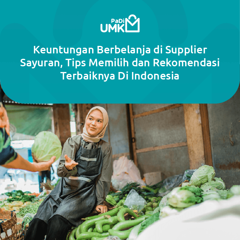 keuntungan-berbelanja-di-supplier-sayuran-tips-memilih-dan-rekomendasi-terbaiknya-di-indonesia