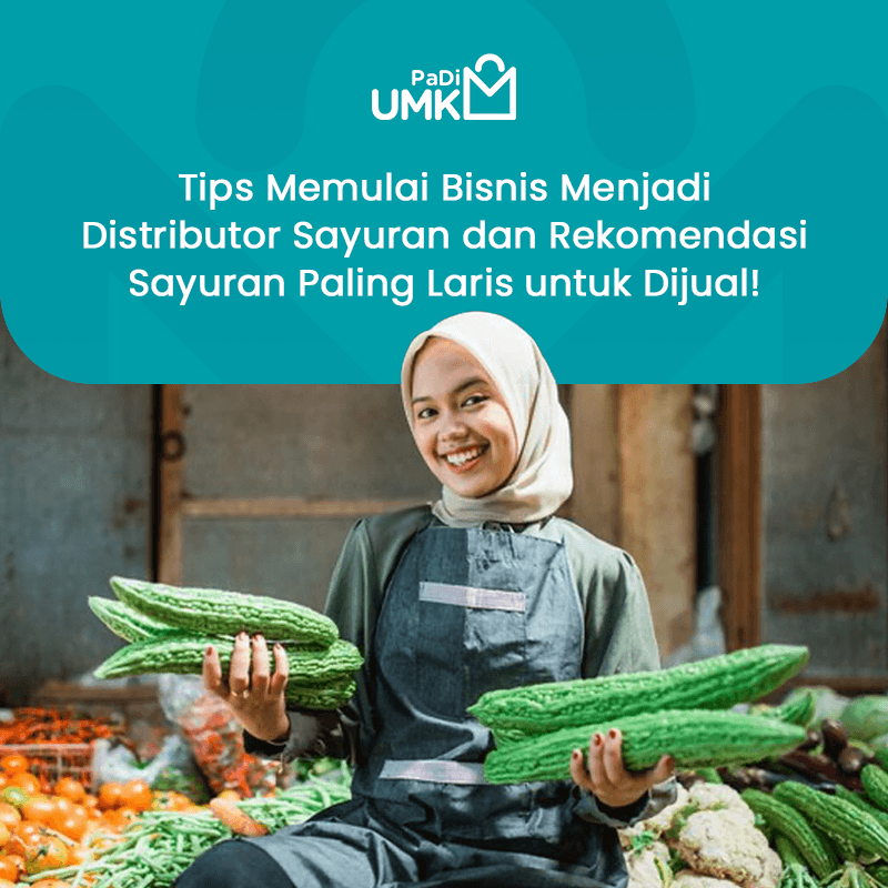 tips-memulai-bisnis-menjadi-distributor-sayuran-dan-rekomendasi-sayuran-paling-laris-untuk-dijual