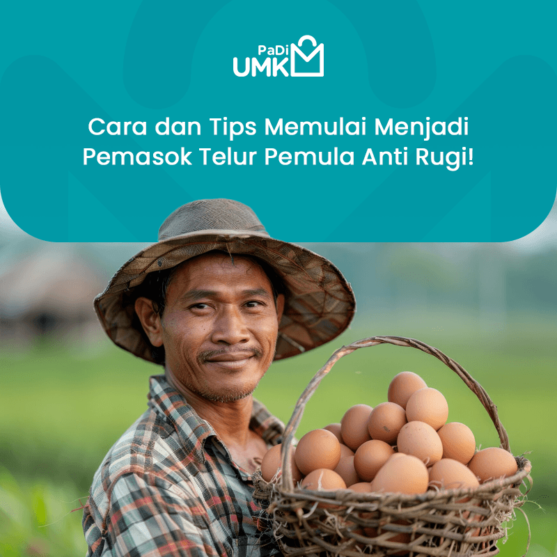cara-dan-tips-memulai-menjadi-pemasok-telur-pemula-anti-rugi