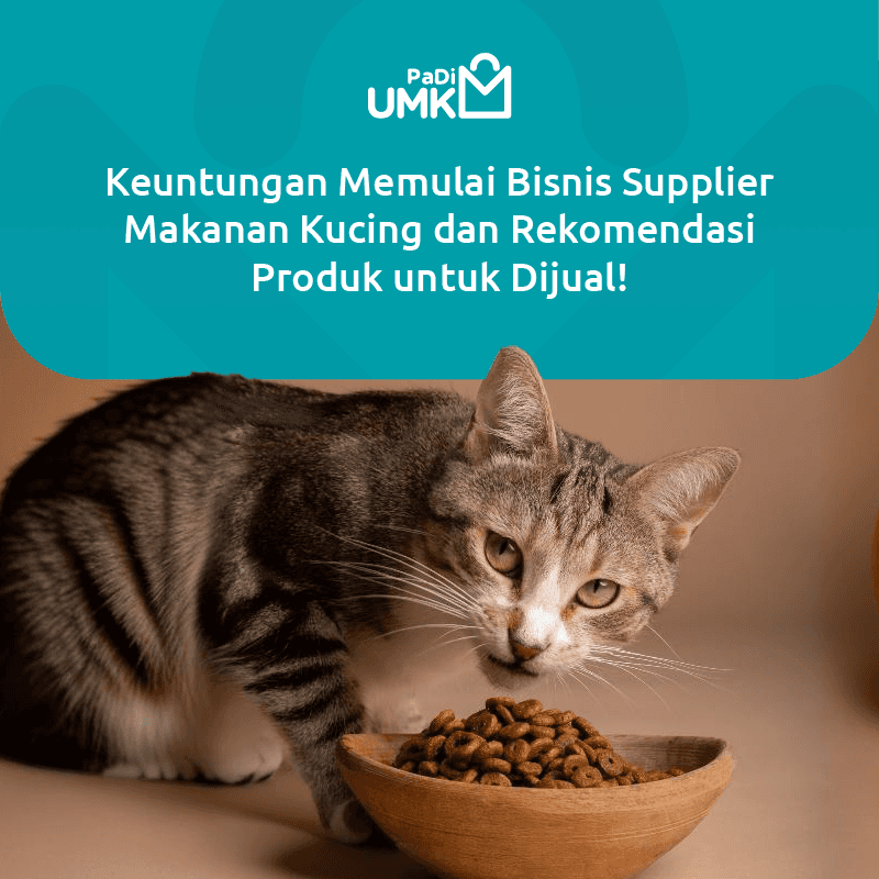keuntungan-memulai-bisnis-supplier-makanan-kucing-dan-rekomendasi-produk-untuk-dijual