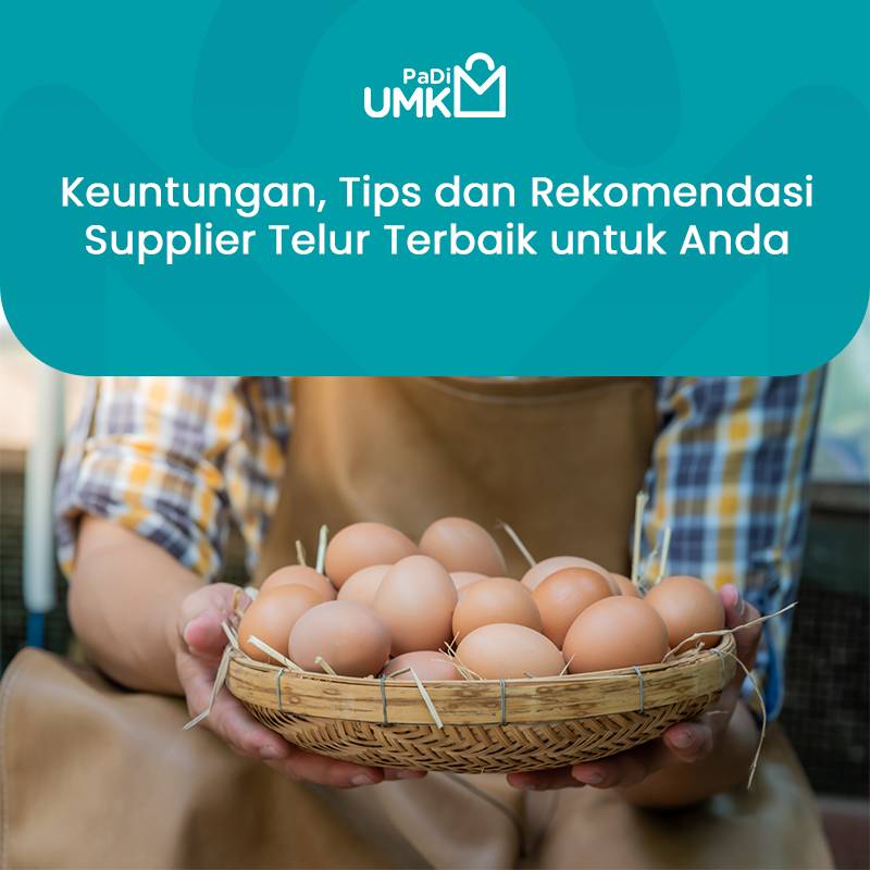 keuntungan-tips-dan-rekomendasi-supplier-telur-terbaik-untuk-anda