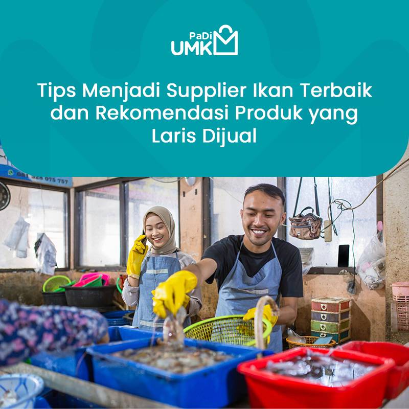 tips-menjadi-supplier-ikan-terbaik-dan-rekomendasi-produk-yang-laris-dijual