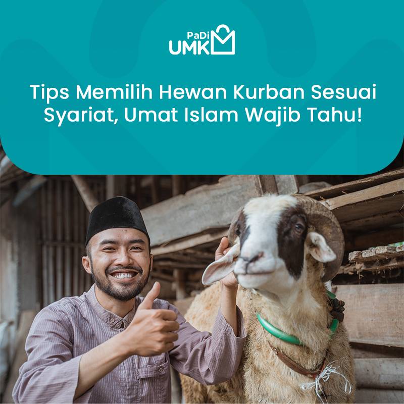 tips-memilih-hewan-kurban-sesuai-syariat-umat-islam-wajib-tahu