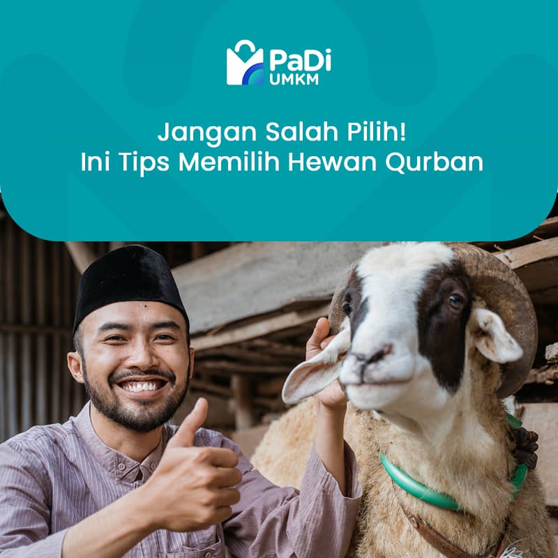 jangan-salah-pilih-ini-tips-memilih-hewan-qurban